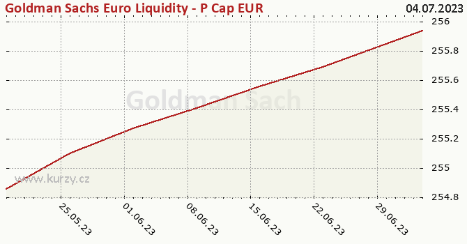 Graph des Kurses (reines Handelsvermögen/Anteilschein) Goldman Sachs Euro Liquidity - P Cap EUR