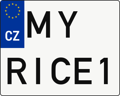 Moto SPZ MYRICE1